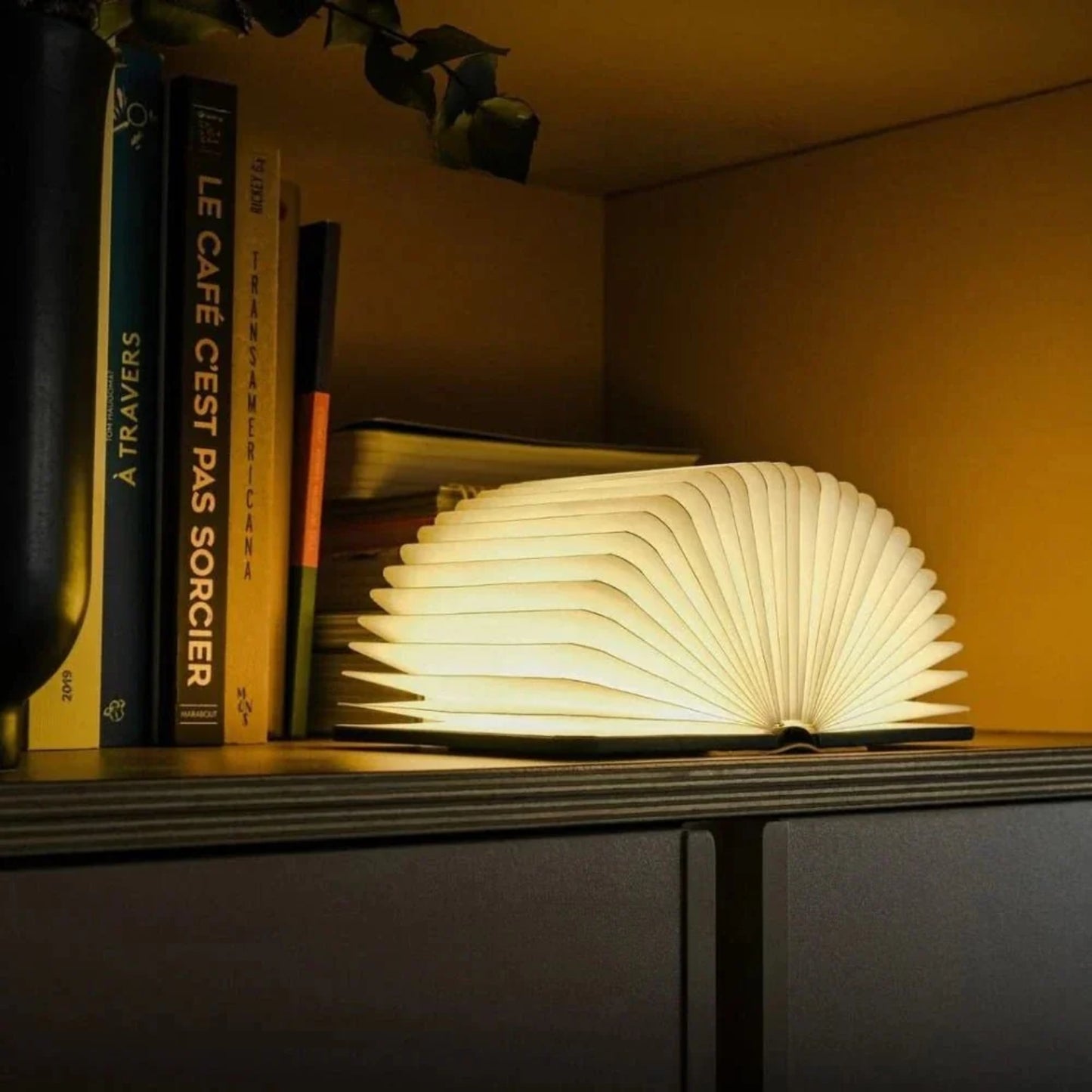 Magic Book